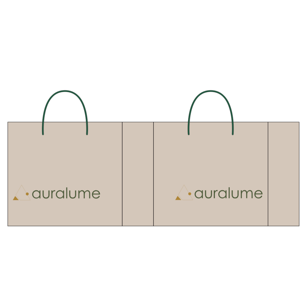紙袋　5枚セット(auralume）