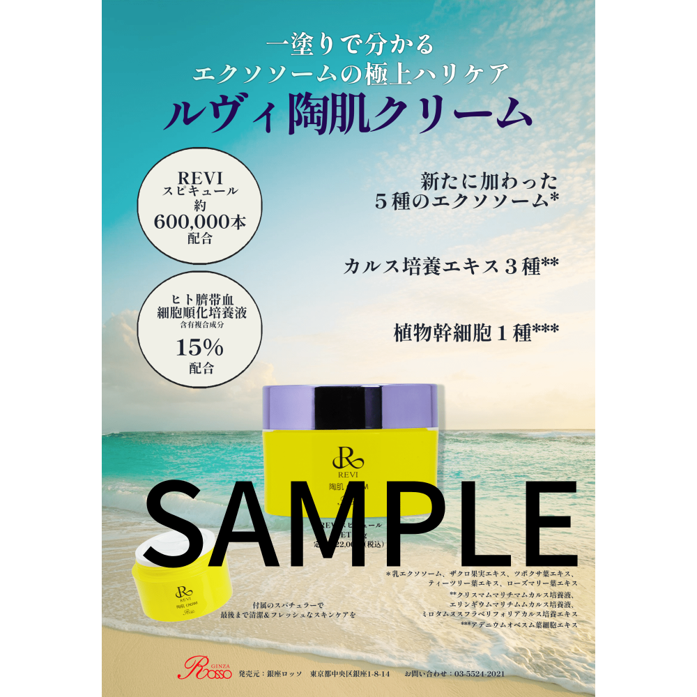 チラシ:陶肌クリーム:10枚
